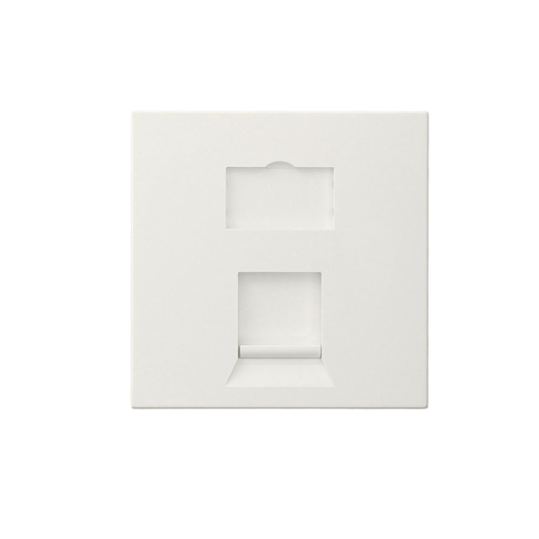 Leviton WALLPLATES 1PORT 50X50MM INS WH LI150-2W1